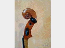 Violino di literia